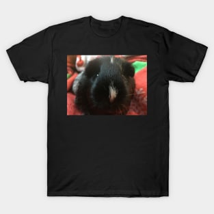 Nose boop pig T-Shirt